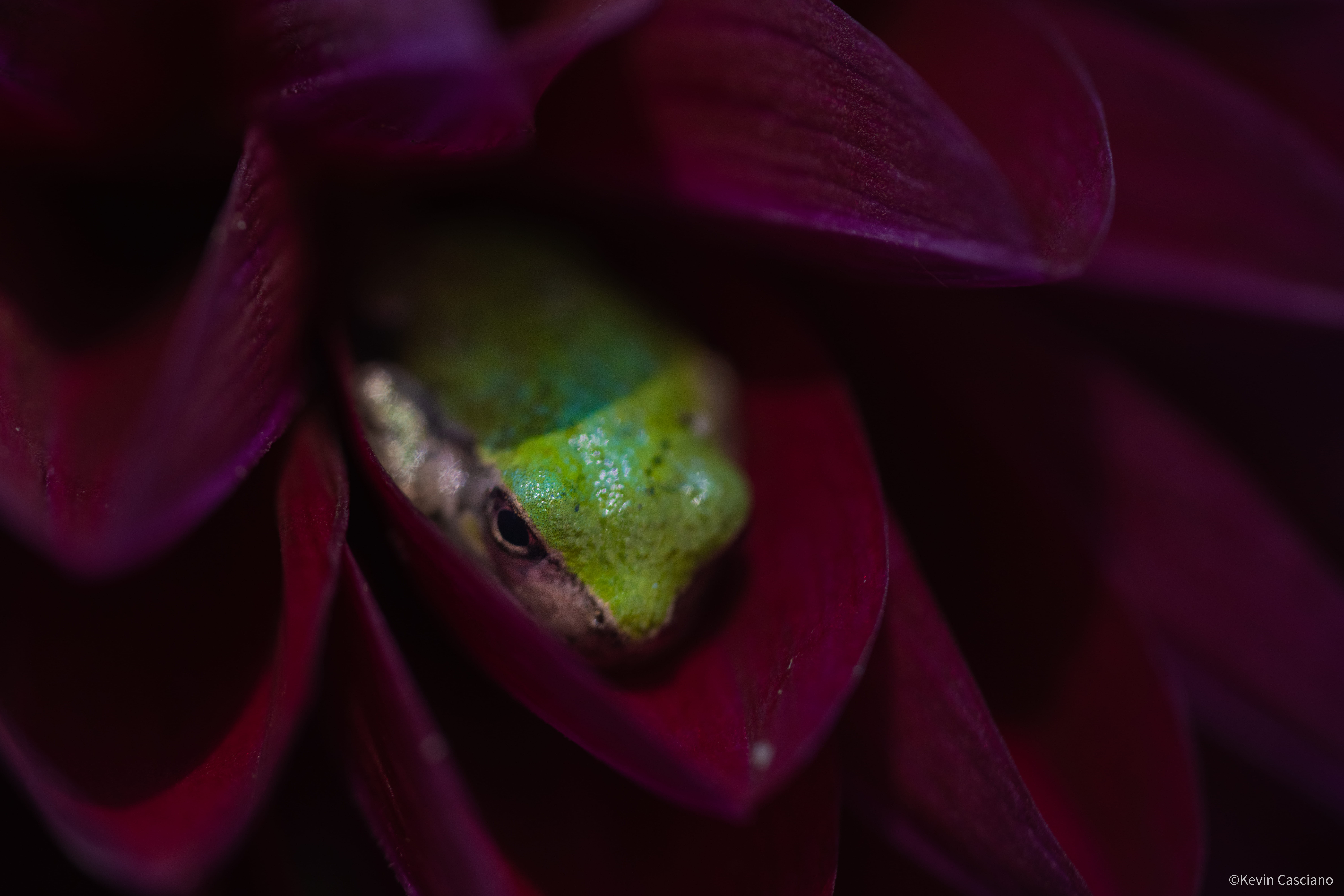 Urban Ecology hero image